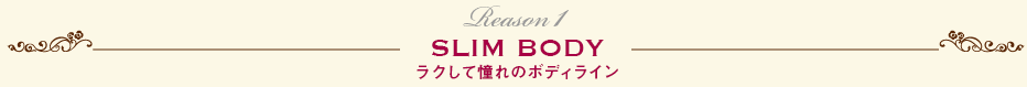 SLIM BODY ラクして憧れのボディライン