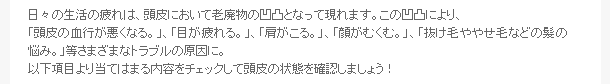 日々の生活の疲れは、頭皮において老廃物の凹凸となって現れます。この凹凸により、「頭皮の血行が悪くなる。」、「目が疲れる。」、「肩がこる。」、「顔がむくむ。」、「抜け毛ややせ毛などの髪の悩み。」等さまざまなトラブルの原因に。以下項目より当てはまる内容をチェックして頭皮の状態を確認しましょう！